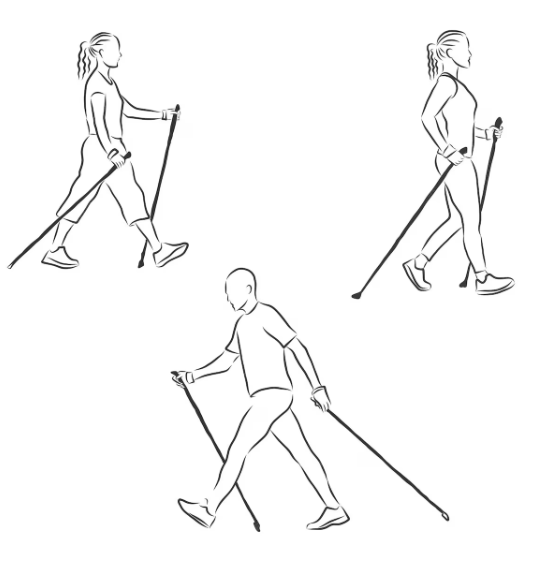Nordic Walking z instruktorem na świeżym powietrzu